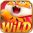 br-tigerfortune.com.br favicon