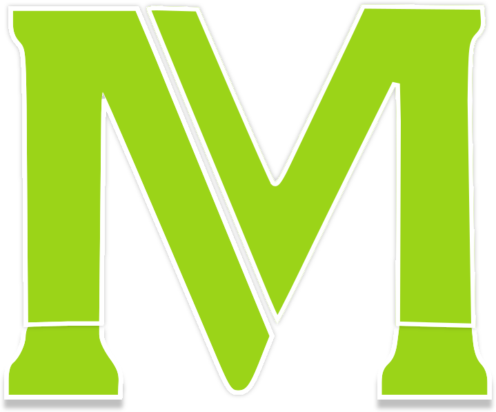 megasaver.com favicon