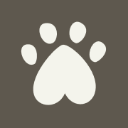 Ollie favicon