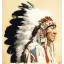 nativeamericantee.com favicon