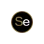 sealforyou.com favicon