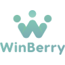 winberry.pro favicon