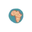 africanimpact.com favicon