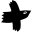 bohemianbirds.com favicon