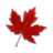 canadaflowers.ca favicon