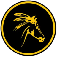 cmspeedrunners.net favicon