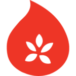 salsashop.com favicon