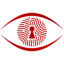 webeye.tech favicon