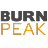 burnpick.com favicon