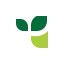 vivus.lt favicon
