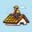dakdekkereindhoven.net favicon