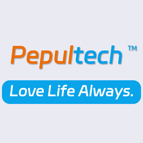 pepultech.com favicon