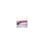 sabrinathedigitalwitch.com favicon