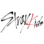 straykids.store favicon