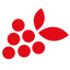 enotecapiaceridivini.com favicon