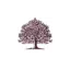 familiejura.dk favicon