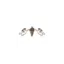 ilparadisodellebonta.it favicon