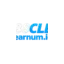 learnum.io favicon