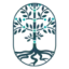 neuconnectionswellness.com favicon