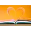 bibliotekerne.dk favicon