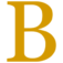 bijnen.nu favicon
