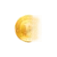 bitcoin4u.top favicon