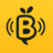 bzz-app.com favicon