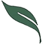 centerfornaturalmedicine.net favicon