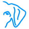 doggyride.com favicon