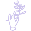 humandesignuni.de favicon