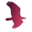 specialpsykologiskkonsultation.dk favicon