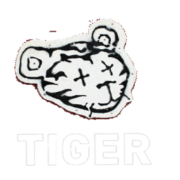 tigernet.no favicon