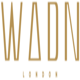 wearedesignnation.com favicon