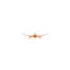 charterjetairlines.com favicon