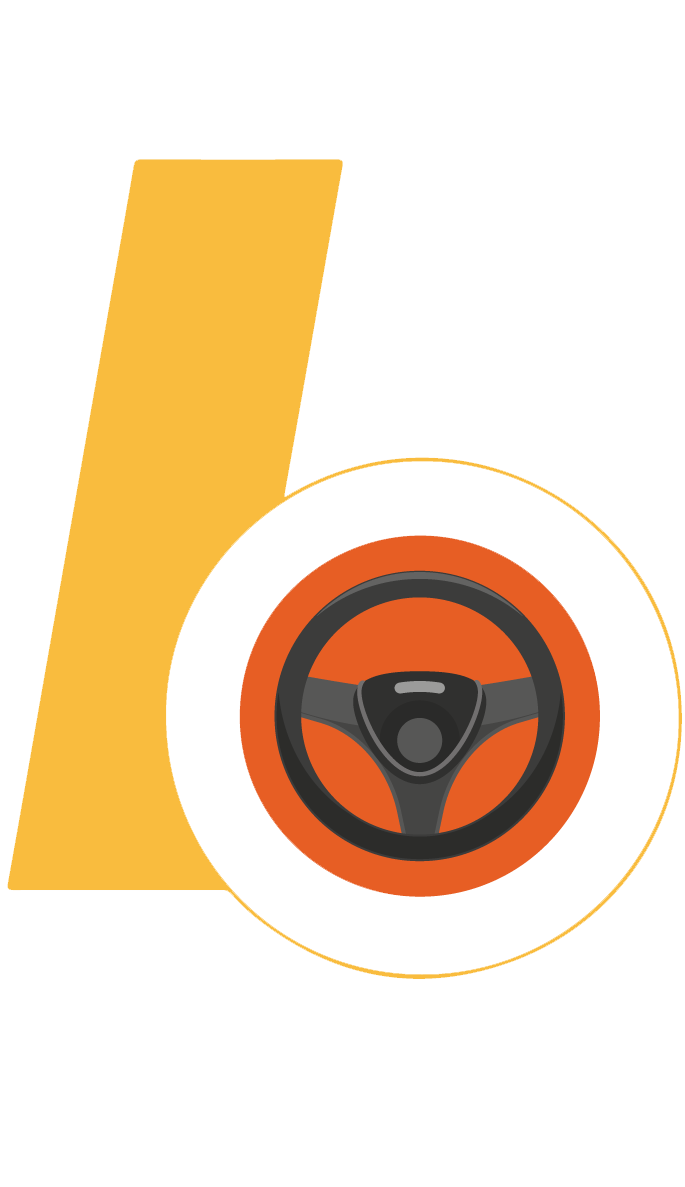 lomidriver.com favicon