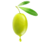 oliofrisina.it favicon