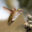 aureacare.se favicon