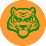 bengalslots.com favicon