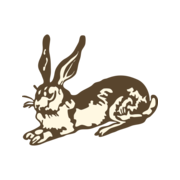 campingderimboe.com favicon