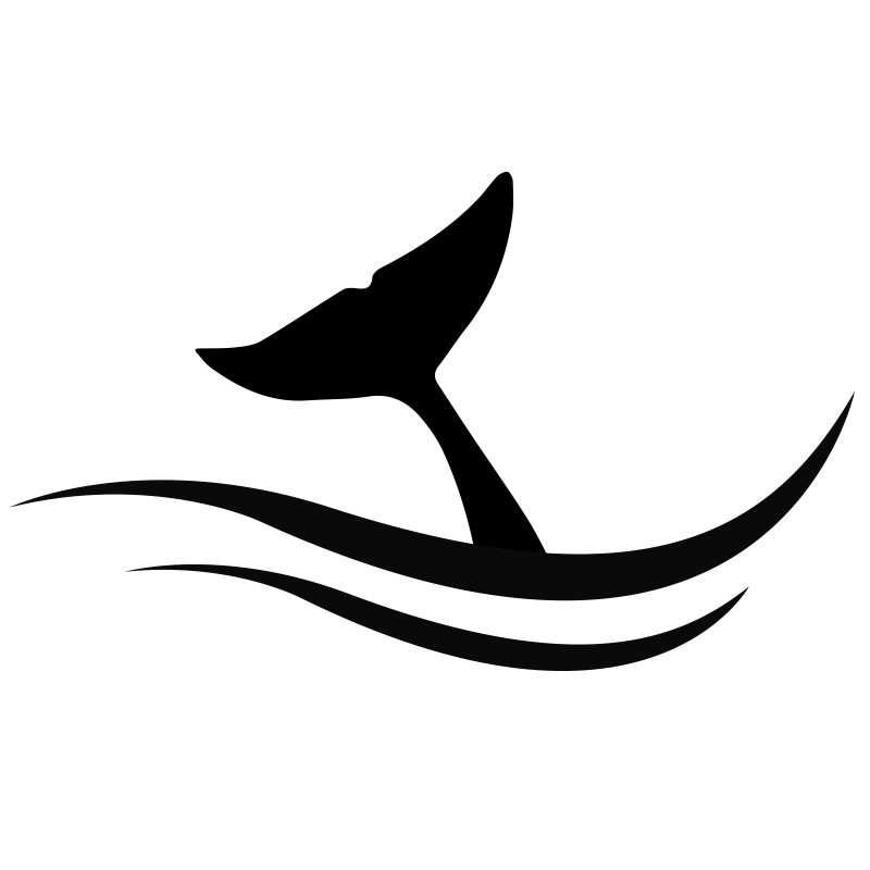Gymdolphin favicon