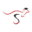 studyin.com.au favicon