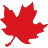 swingersontario.com favicon