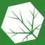 amshopfolletto.it favicon