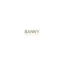 bannyrealestate.com favicon