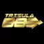 collegedudeshelpmove.com favicon