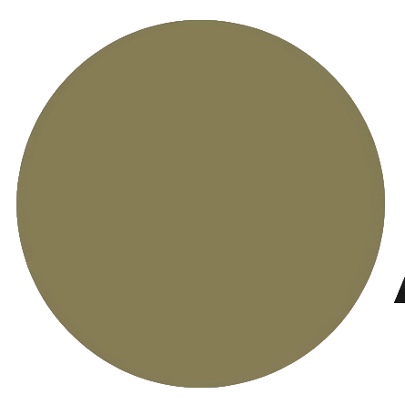 pinaeo.com favicon