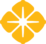 sanfranciscofcu.com favicon