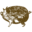 grasmere-farm.co.uk favicon