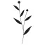 natula.pl favicon
