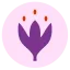 reislager.de favicon